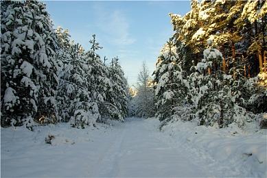 Steam好评如潮 猫咪冒险游戏《迷失》正式登陆Xbox